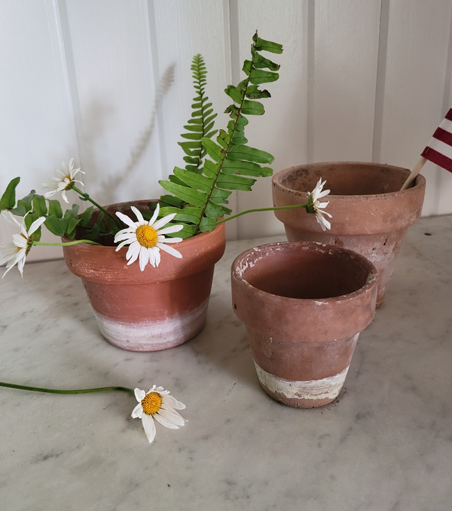 Aged Terracotta Pots