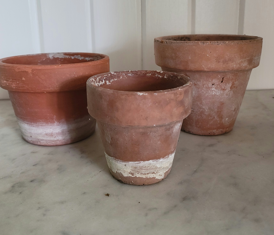 Aged Terracotta Pots