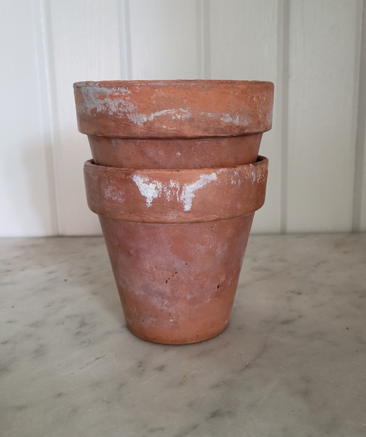 Aged Terracotta Pots