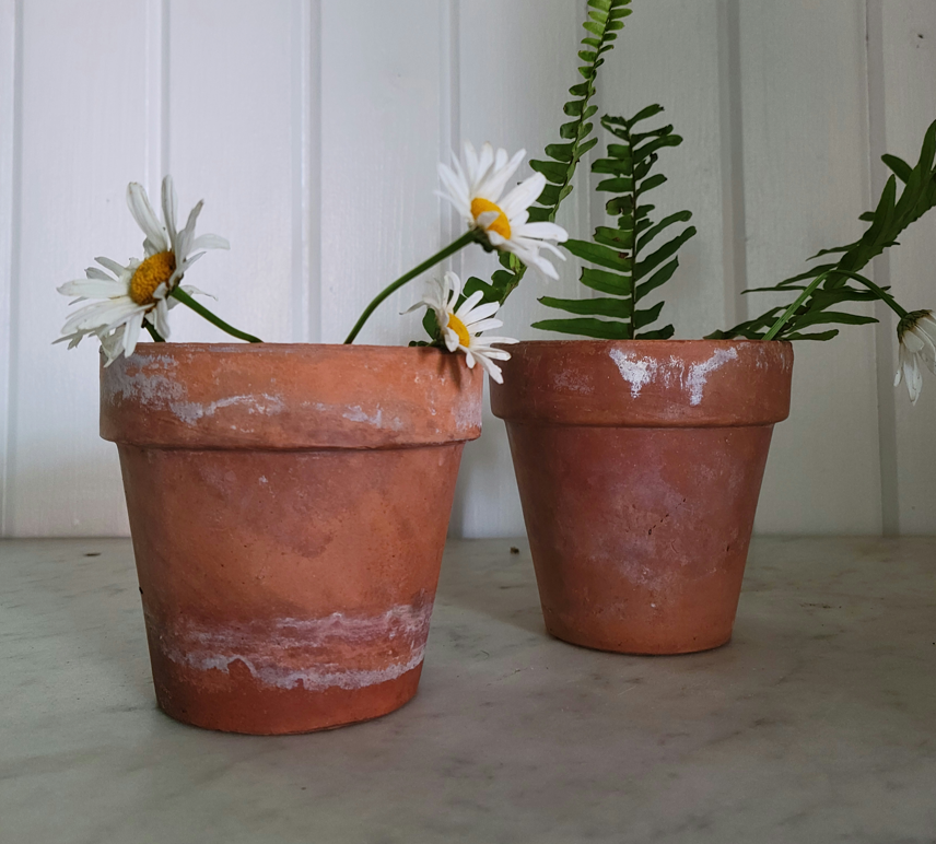 Aged Terracotta Pots